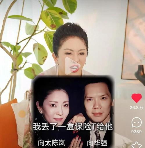 爆料娱乐圈向太,向太爆料揭露惊人内幕